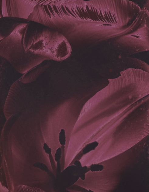 Lulu Slip Maxi Dress